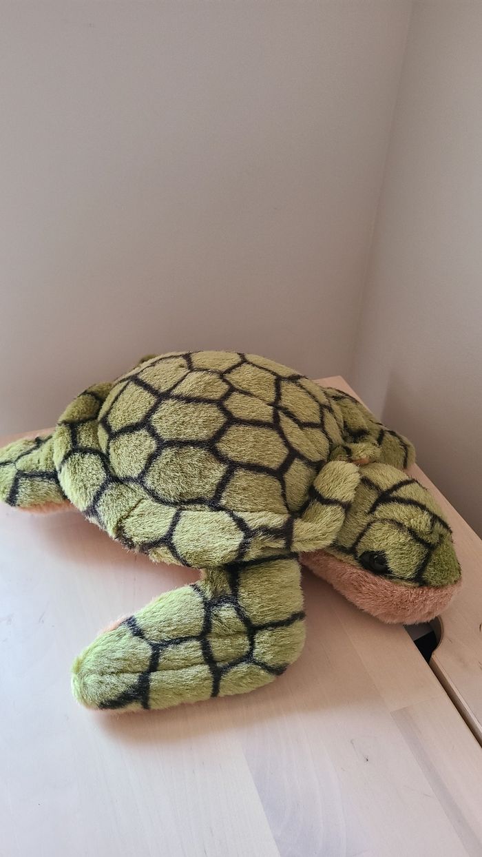 Tortue - photo numéro 2