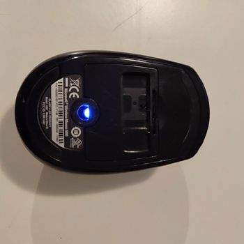 Souri sans fil manque récepteur Microsoft