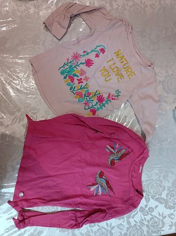 Lot de 2 tee-shirts manches longues 