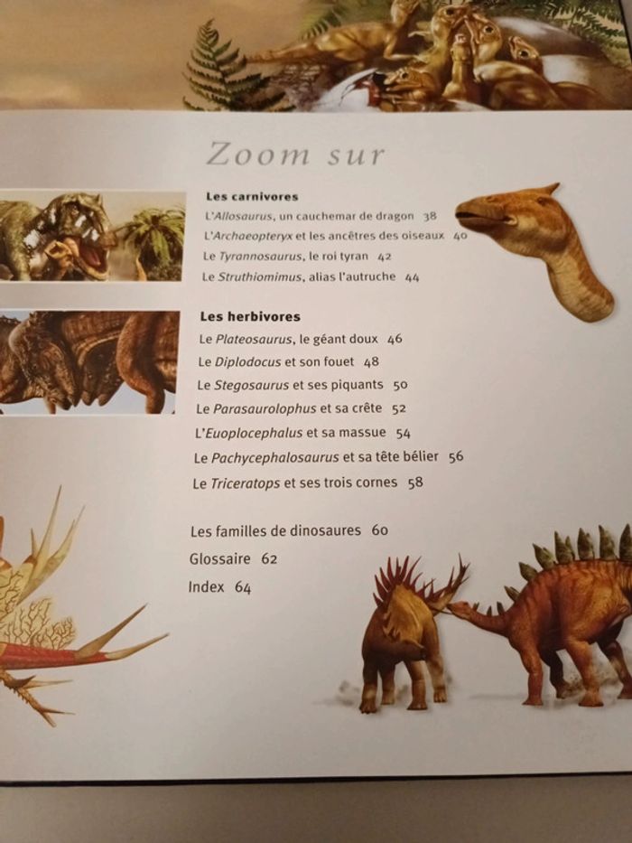 Les dinosaures à la loupe édition France loisirs - photo numéro 5