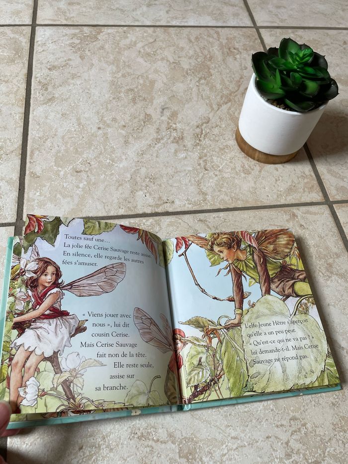livre de fées - photo numéro 2