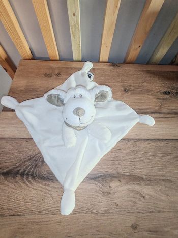 Chien blanc Tex bandana marron