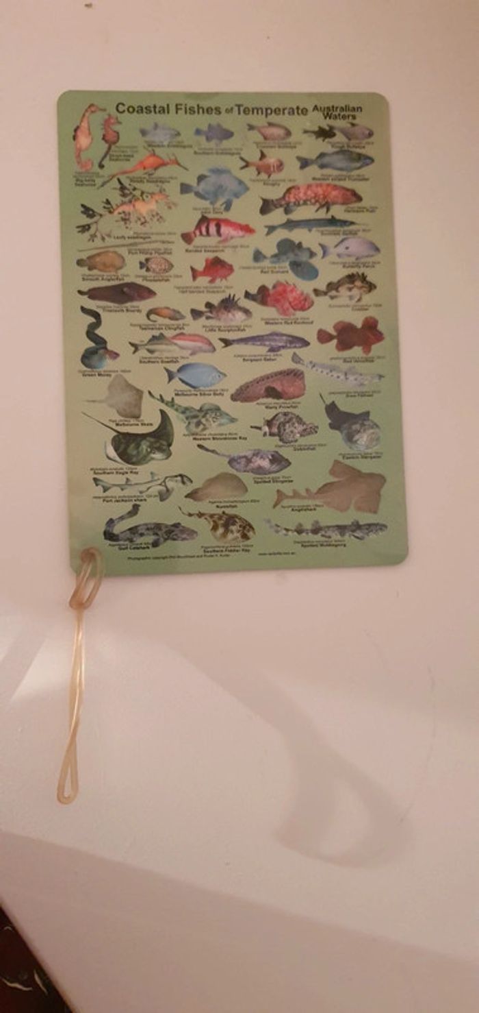 Carte Marine Plongée Australie