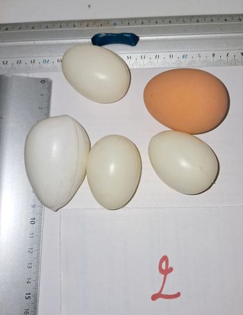 Lot œufs dînette primeur cuisine épicier marchande