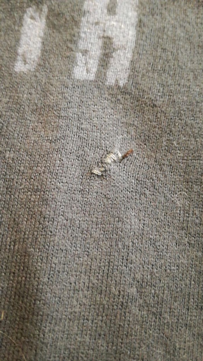 Sous pull - photo numéro 4