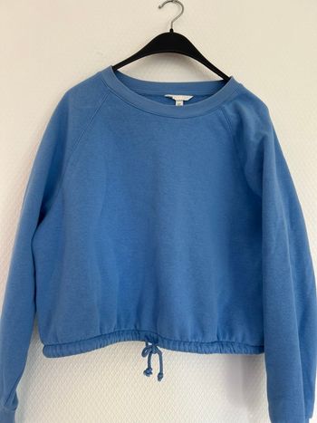 🧣Pull cintrée