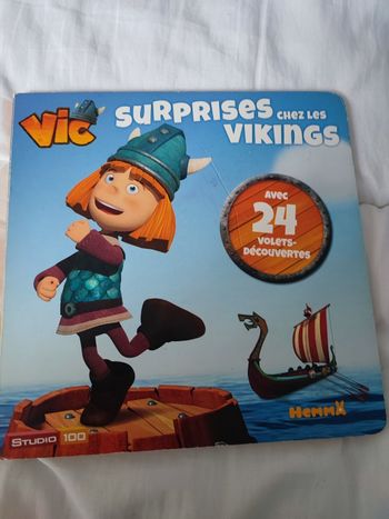 Livre sur les vikings