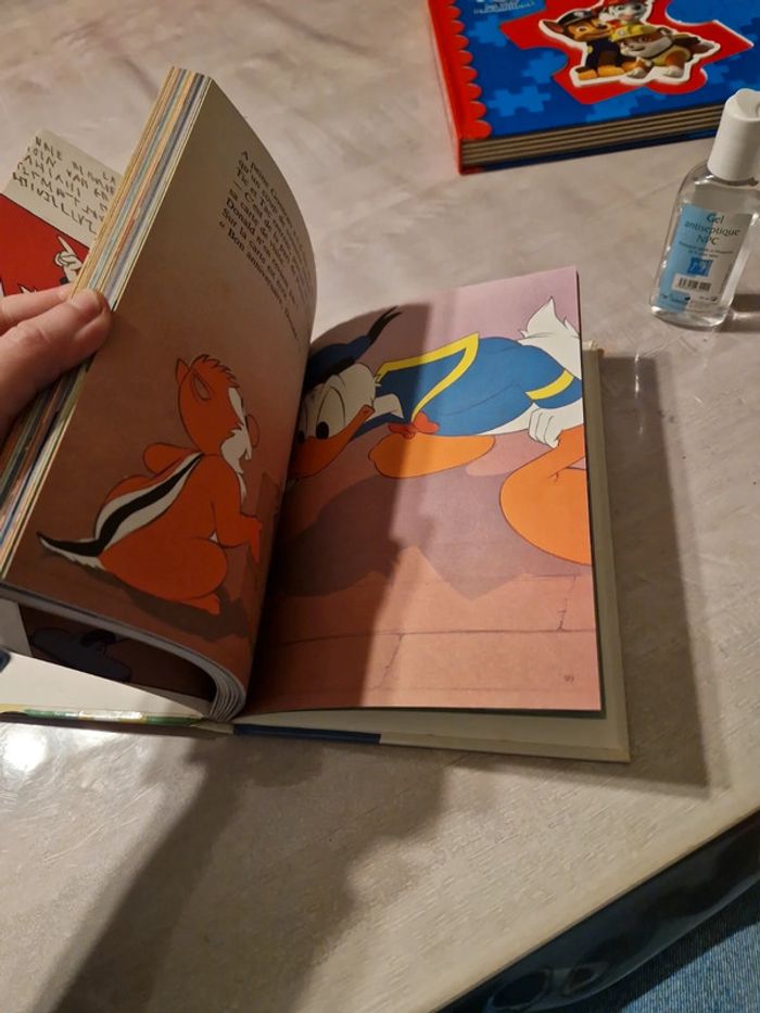 Donald et ses amis - photo numéro 4