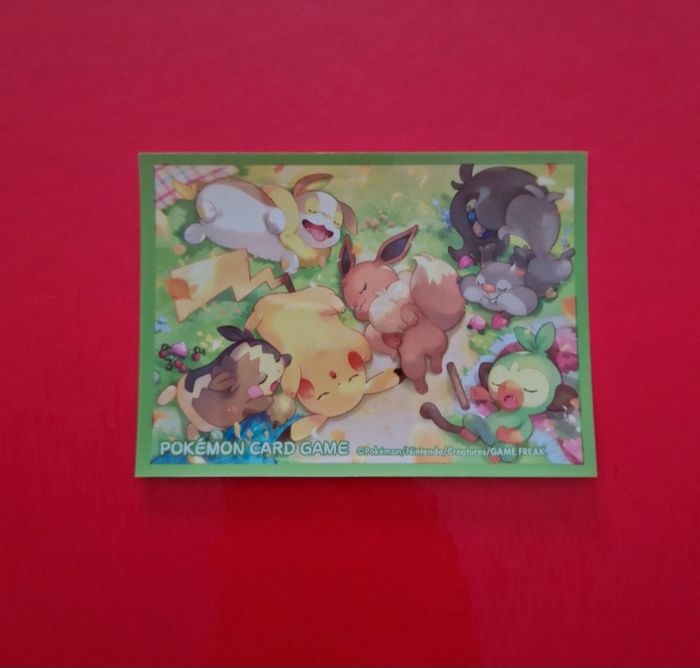 1 sleeve pokemon