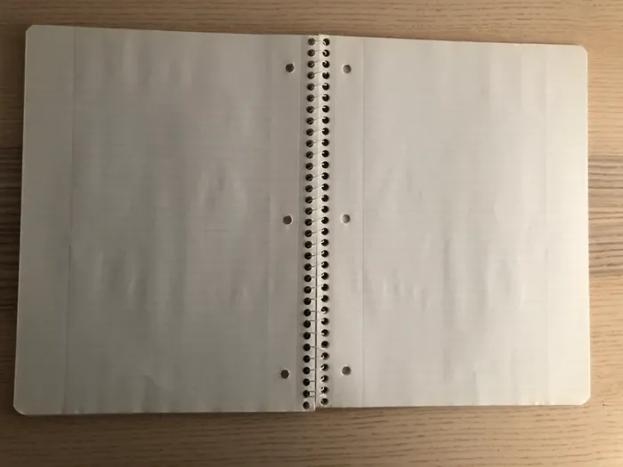 Cahier Angry Birds - photo numéro 3