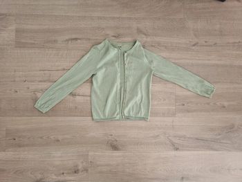 Gilet vert d'eau