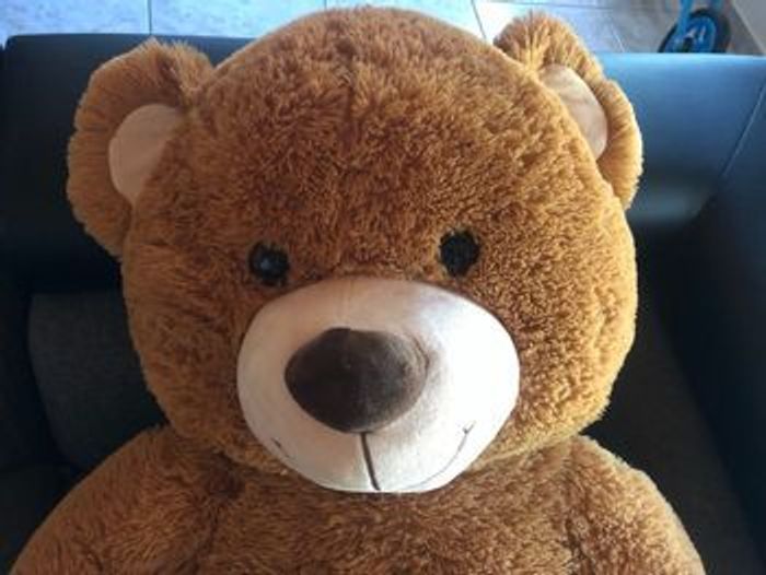 Grosse peluche nounours - photo numéro 2