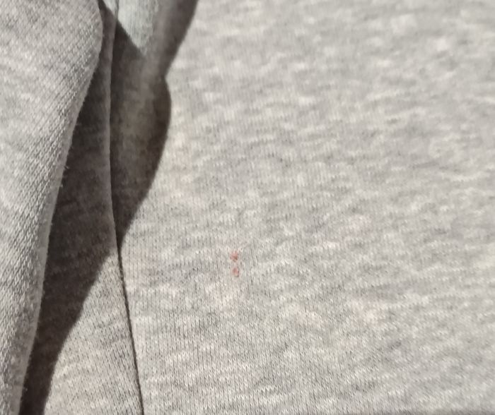 Jogging Adidas - photo numéro 7