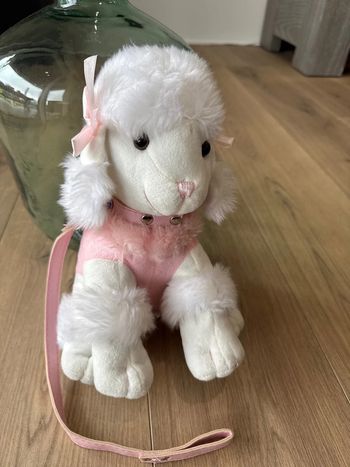 Peluche chien avec sa laisse