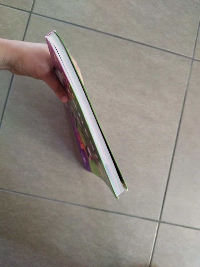 Manuel CM2 - photo numéro 4