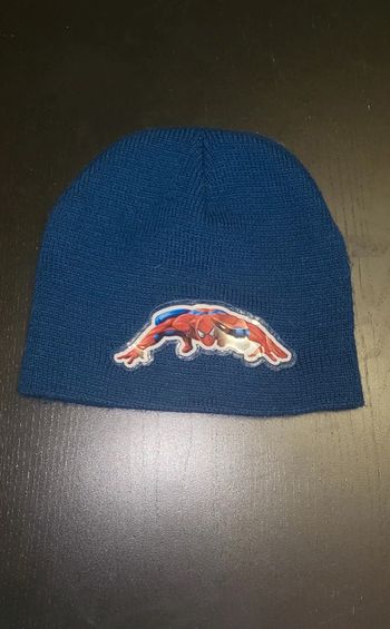 Bonnet Spiderman