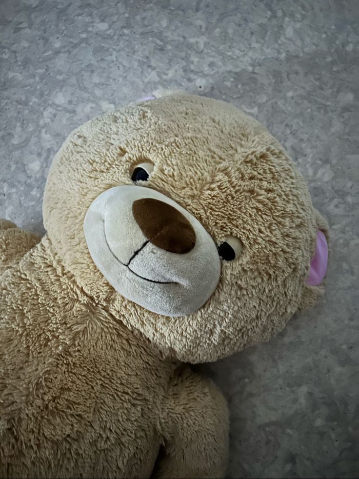 Peluche - photo numéro 2