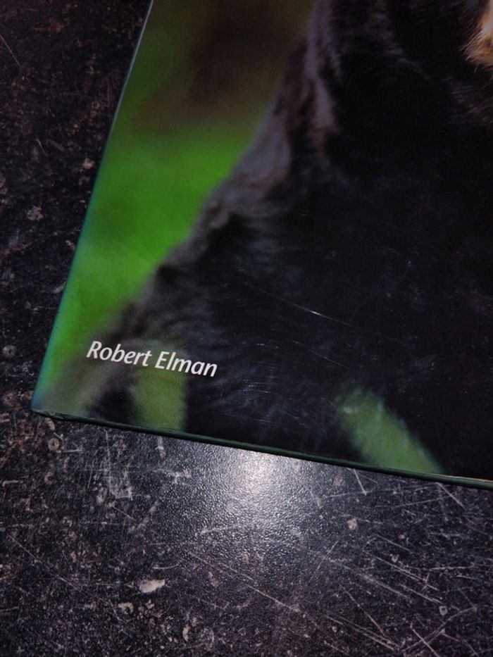 Livre ours - photo numéro 2