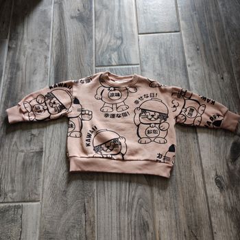 Pull Zara chats 6-9 mois neuf