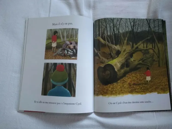 Livre Enfant " Retrouve moi" - photo numéro 4
