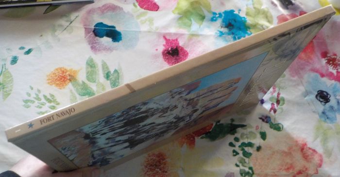 BLUEBERRY FORT NAVAJO BD de Charlier Giraud Ed. Hachette - photo numéro 3