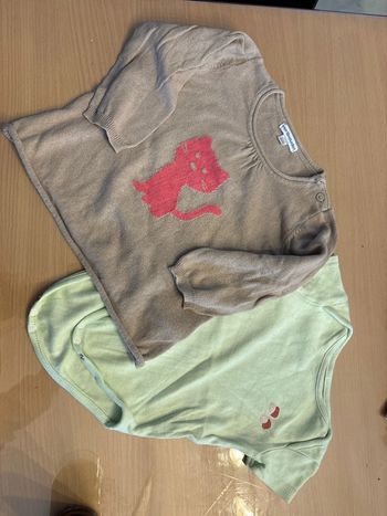 Lot pull et bodie taille 18 mois