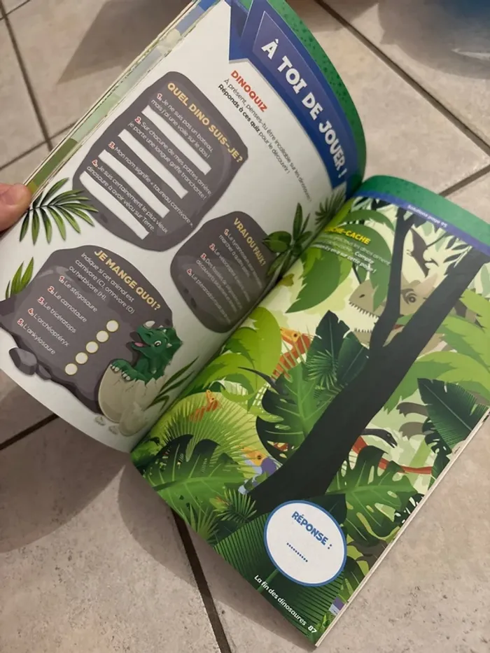 Livres infos activités dinosaures - photo numéro 7