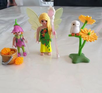 Playmobil 9208 Fées avec Chaudron Magique