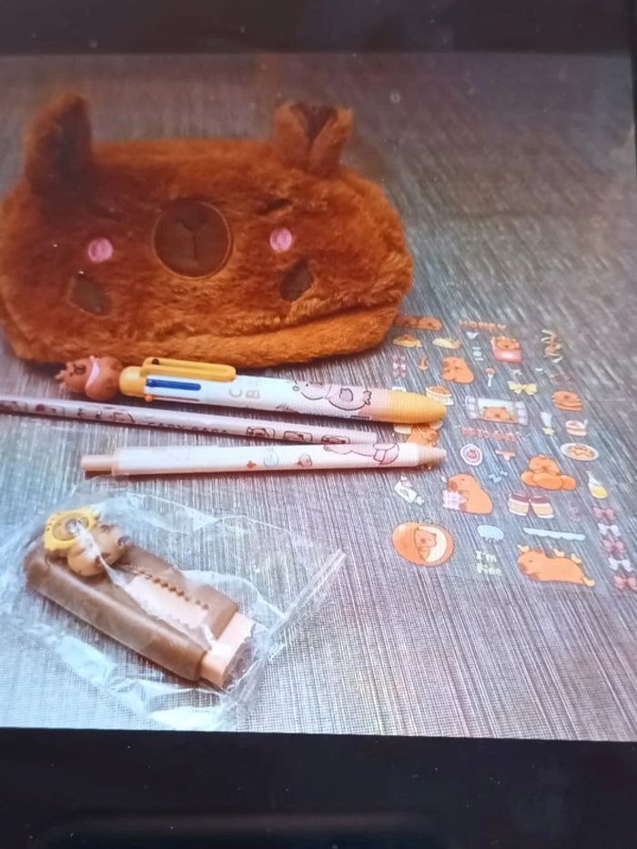 Trousse Capybara et ses accessoires - photo numéro 3