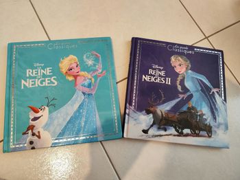 Livres reine des neiges