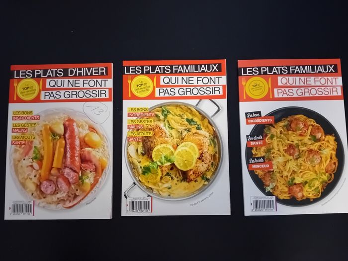 Lot 3 magazines de recettes