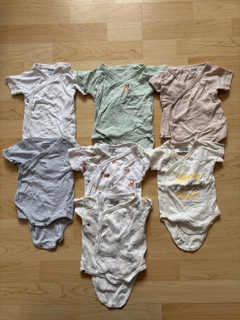 Lot 7 bodies