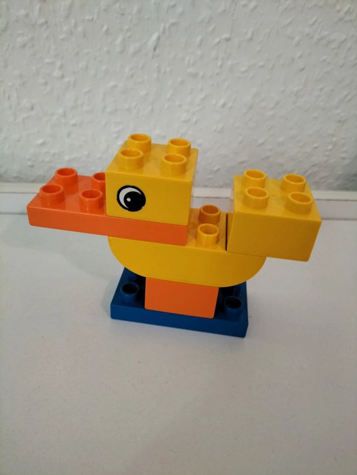 Duplo premier canard