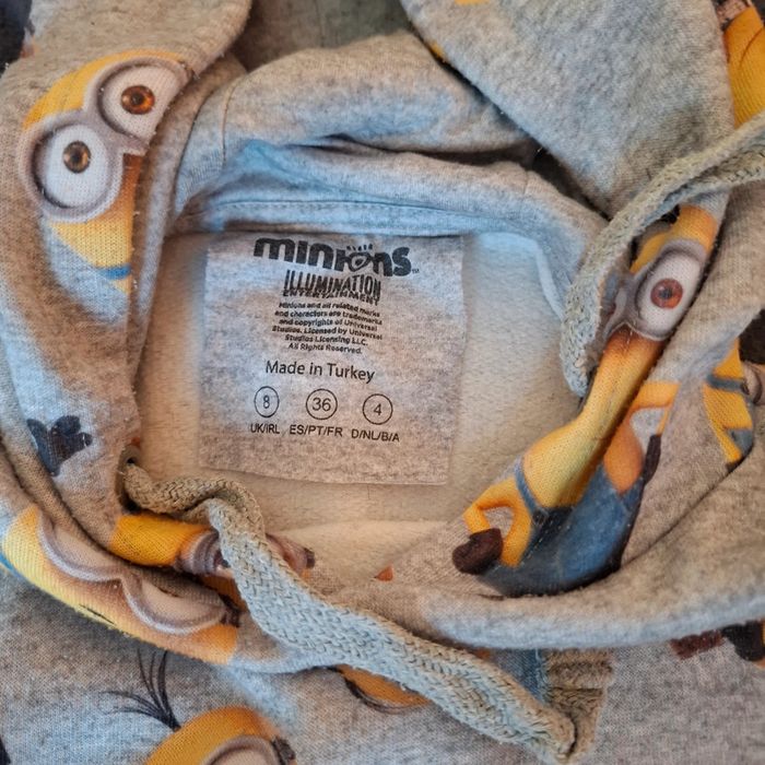 Pull les minions - photo numéro 2