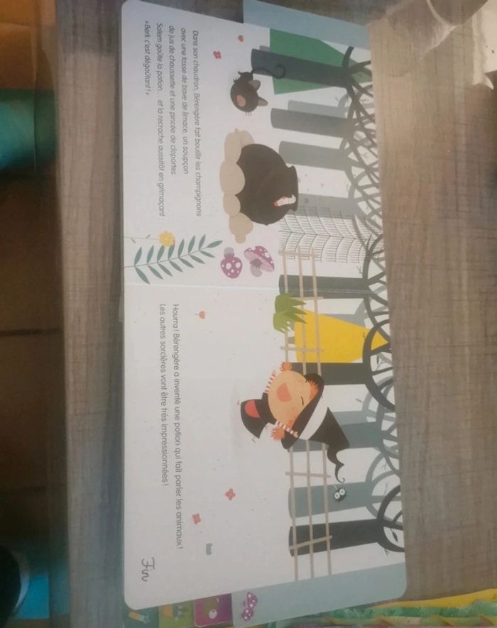 Deviens le héros avec Bérengère la sorcière - photo numéro 2