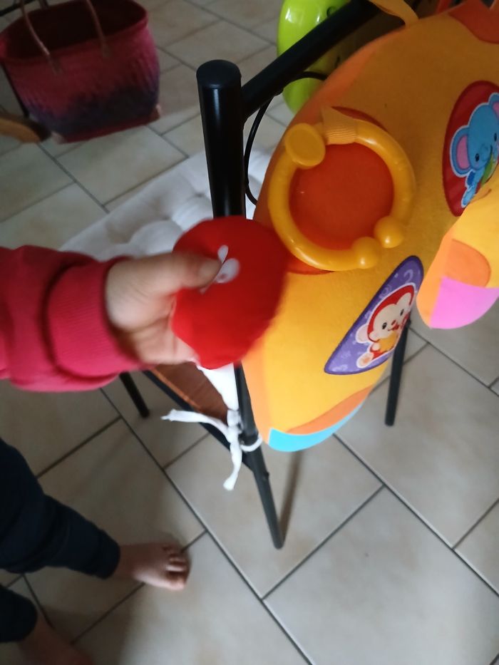 Girafe - photo numéro 2