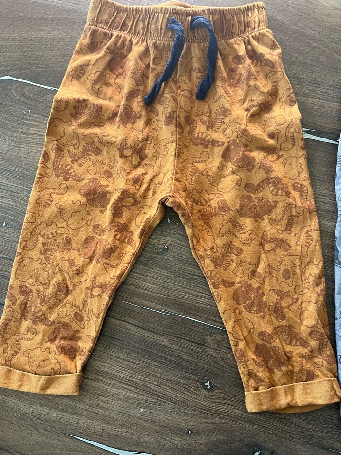 Lot 2 pantalons dinosaures bébé garçon - photo numéro 3