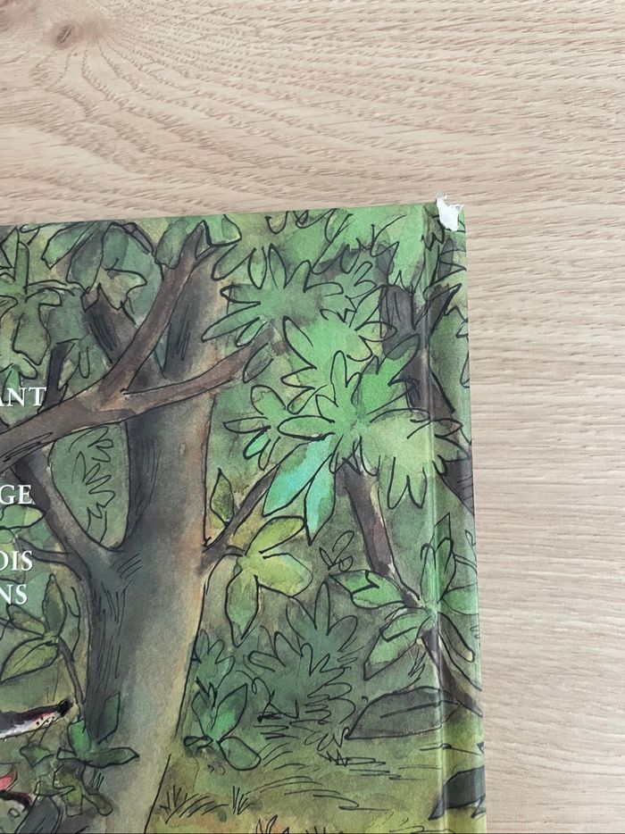 Mon premier Larousse des Contes - Tome 1 - photo numéro 3