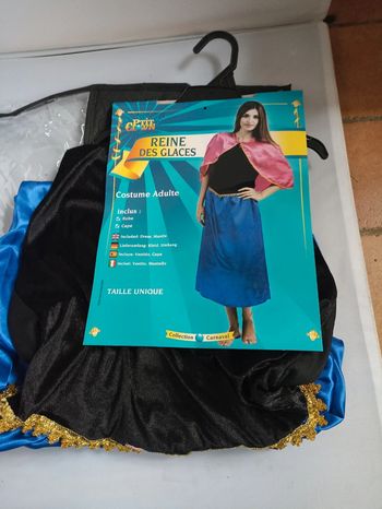 Déguisement reine des glaces adultefemme