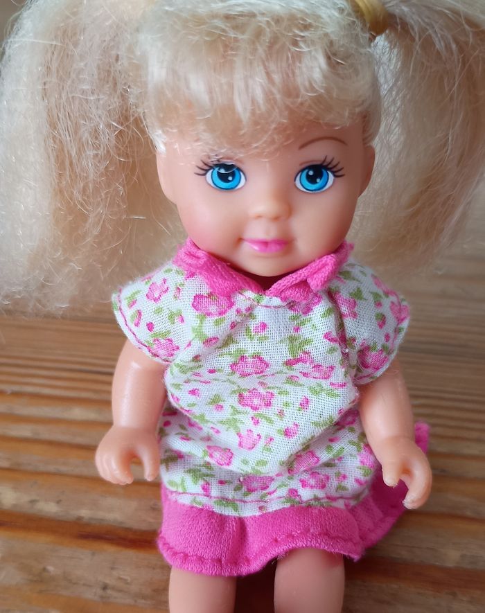 Poupée Evi Love et ses accessoires