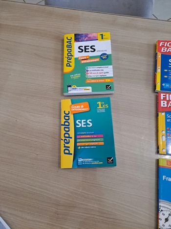 Lot de livres bac