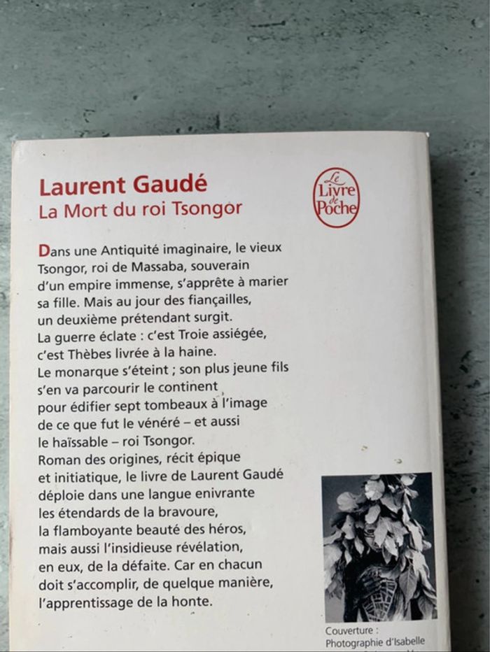 La mort du roi Tsongor de Laurent Gaudé - Offre 2+1 - photo numéro 2