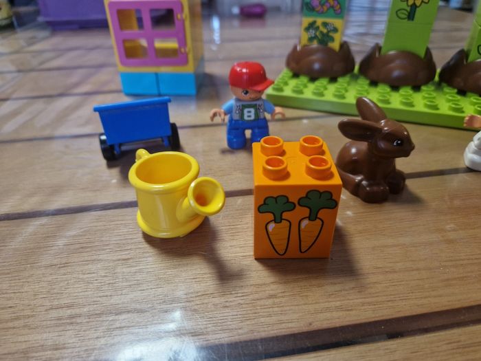 Lego duplo 10819 - photo numéro 2