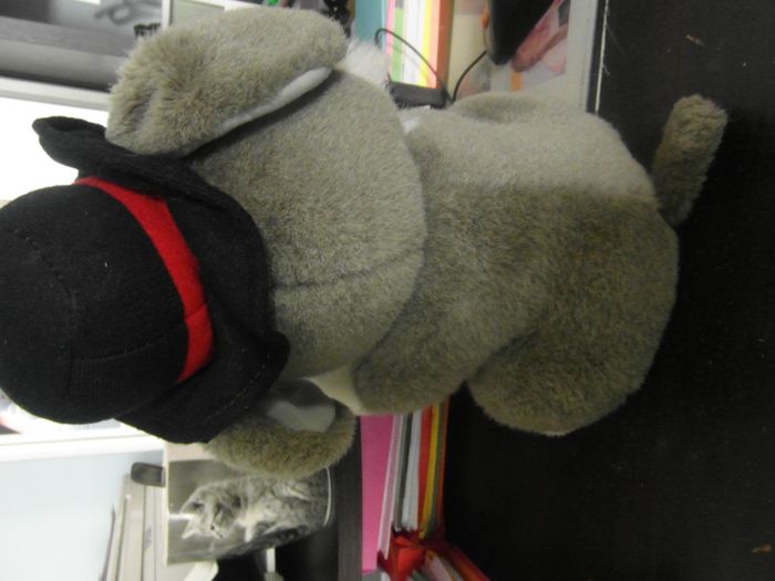 peluche - photo numéro 3