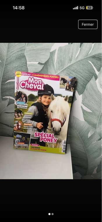Magazine chevaux 