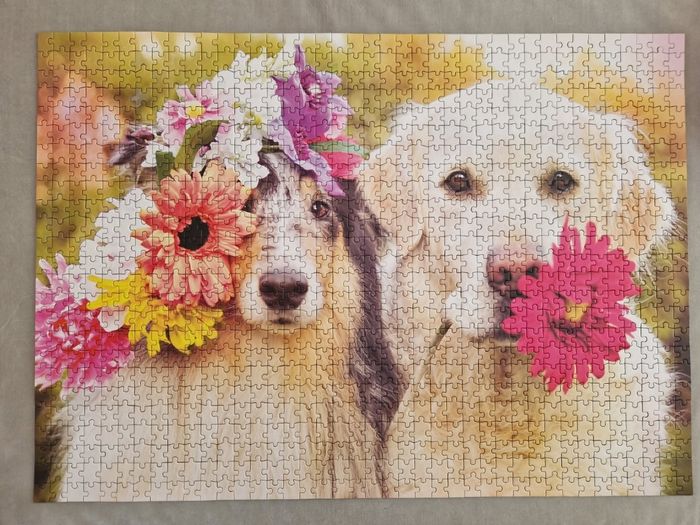 Puzzle 2 chiens - photo numéro 2