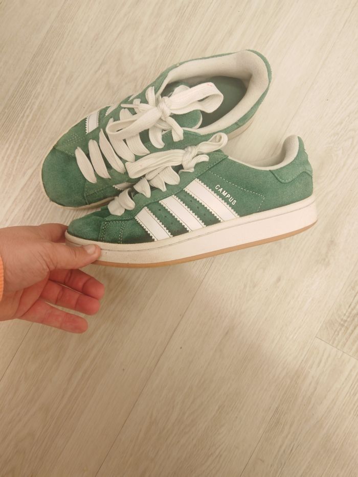 Gazelle verte T38