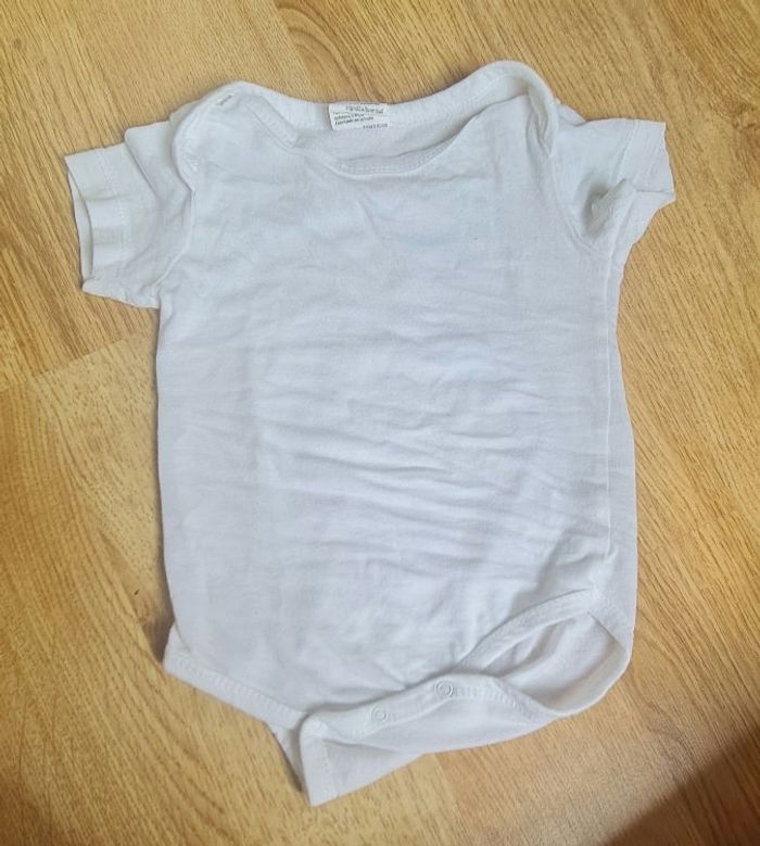 Body