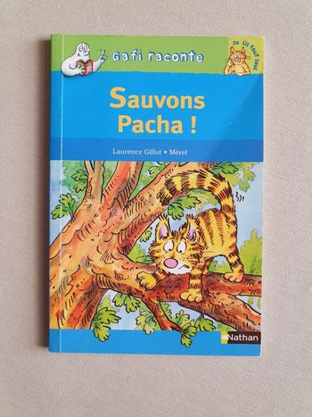 Livre enfant (Gafi raconte)