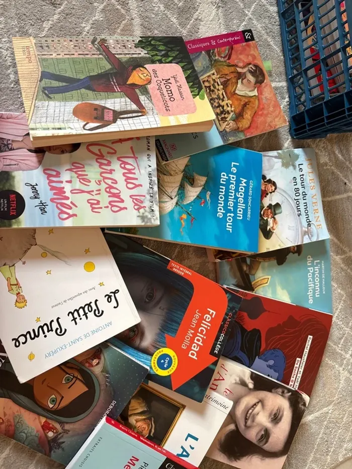 Lot de livre collège
